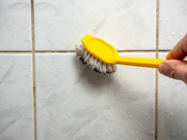 Best Mold Cleaning Services  in Fairview, OR