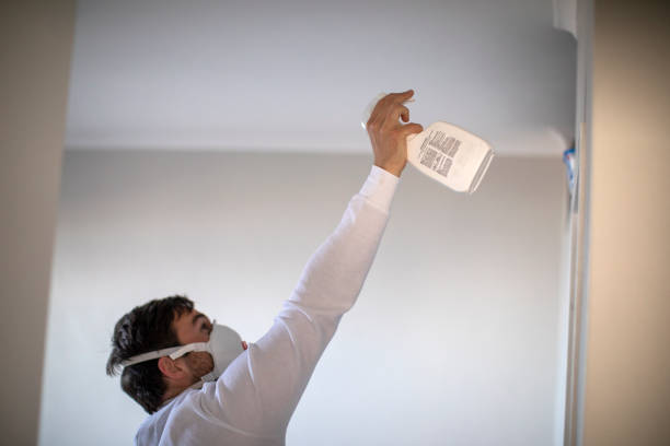 Best Crawl Space Mold Removal  in Fairview, OR