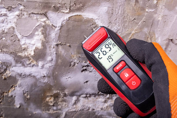 Best Same-Day Mold Removal  in Fairview, OR