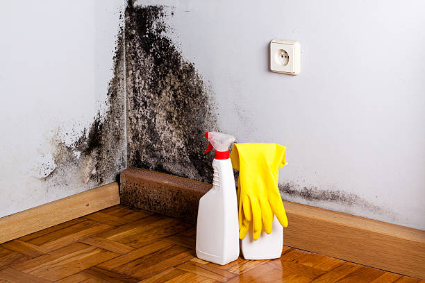 Fairview, OR Mold Removal Company